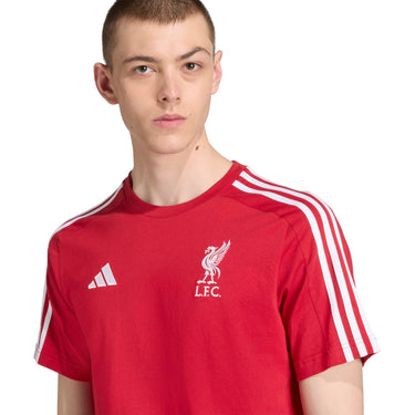 adidas Liverpool FC DNA Tee