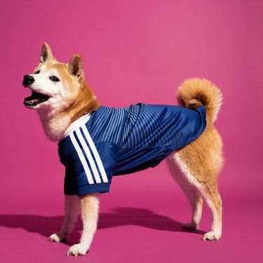 adidas Pet Jersey Japan