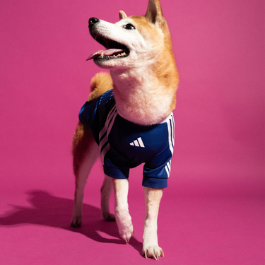 adidas Pet Jersey Japan