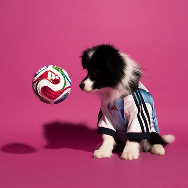 adidas Pet Jersey Argentina