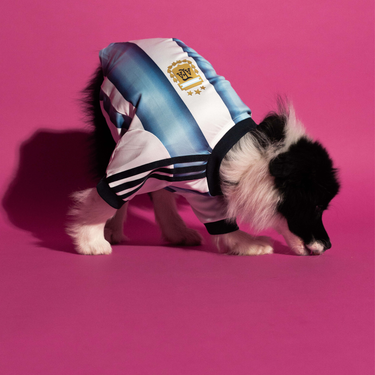 adidas Pet Jersey Argentina