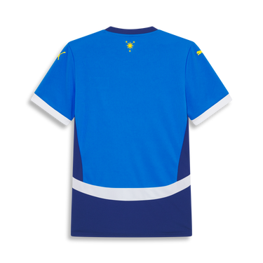 Puma PFF 2026 Home Jersey Replica Women