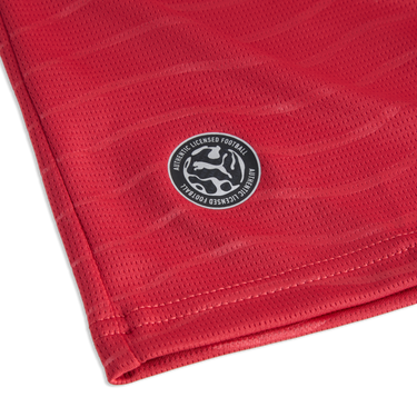 Puma FPF Home Jersey Replica Jr Player