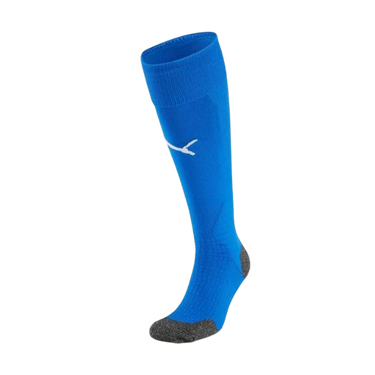 Puma Team LIGA Socks