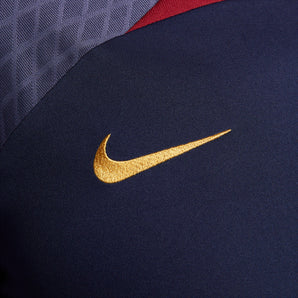 Nike Paris Saint-Germain Strike Dri-FIT Knit Soccer Top