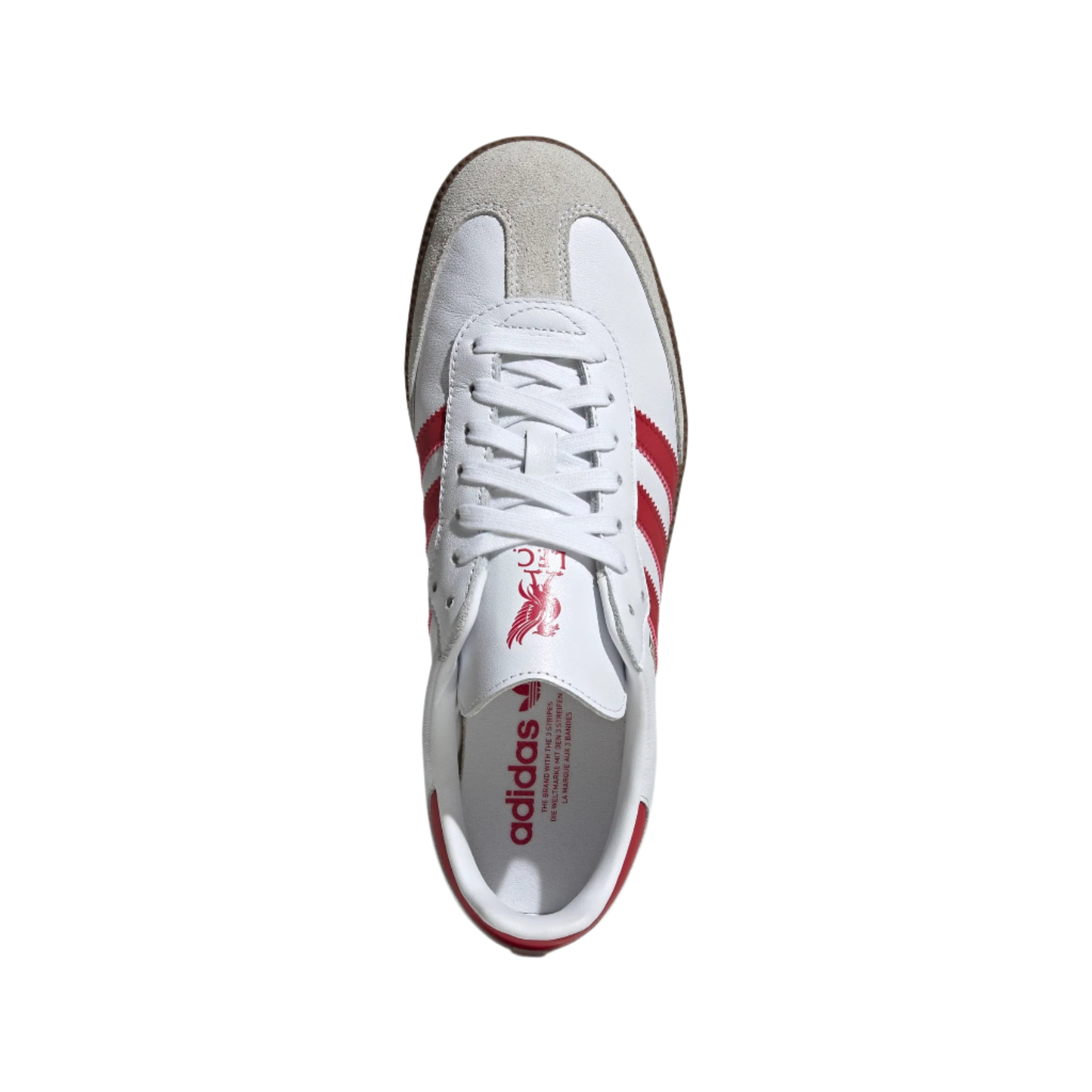 adidas Samba Liverpool FC – BOOTCAMP Football Shop