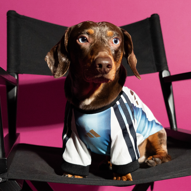 adidas Pet Jersey Argentina
