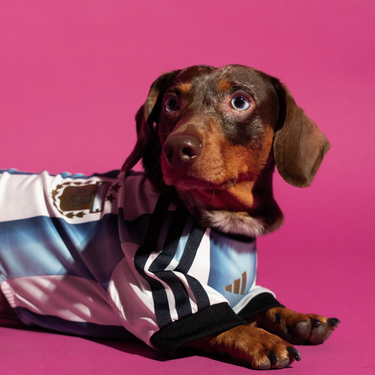 adidas Pet Jersey Argentina