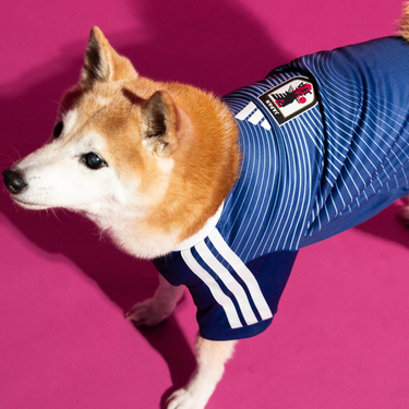 adidas Pet Jersey Japan