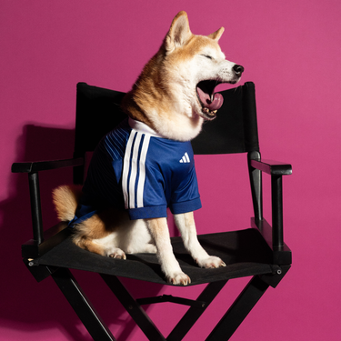 adidas Pet Jersey Japan